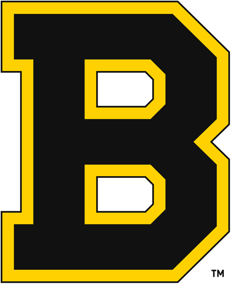 Boston Bruins 1934-1949 Primary Logo t shirts DIY iron ons